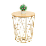 Gold metal basket side table with plant